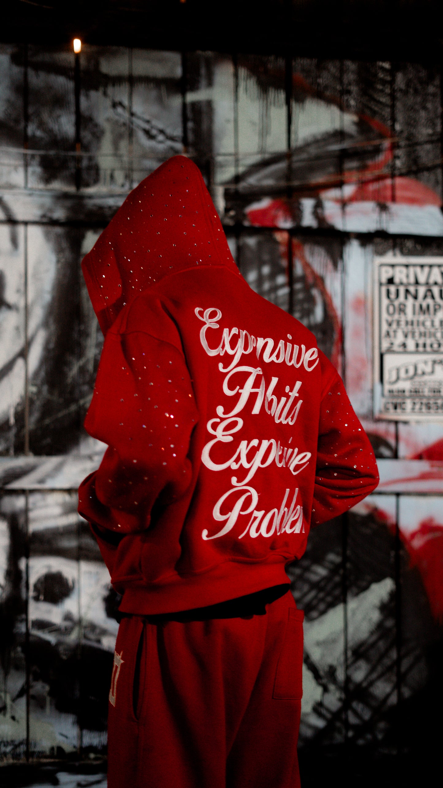 DFR Rhinestone Zip Up LIMITED EDITION RED (480 GSM)